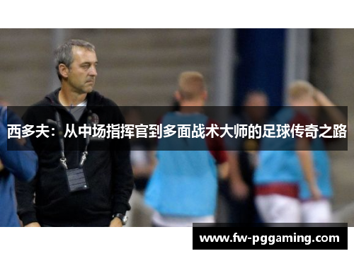 西多夫:从中场指挥官到多面战术大师的足球传奇之路 西多夫:从中场指挥官到多面战术大师的足球传奇之路