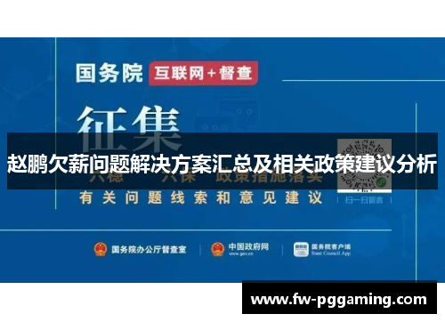 赵鹏欠薪问题解决方案汇总及相关政策建议分析 赵鹏欠薪问题解决方案汇总及相关政策建议分析