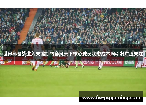 世界杯备战进入关键期转会风云下核心球员状态成本周引发广泛关注 世界杯备战进入关键期转会风云下核心球员状态成本周引发广泛关注