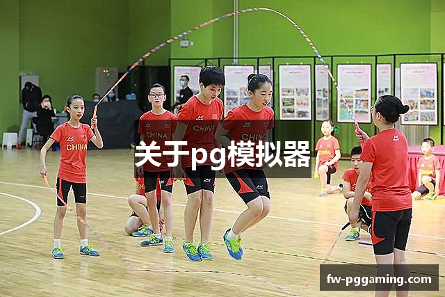 关于pg模拟器